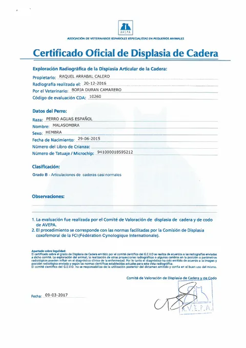 CADERAS++SOMBRA-480w