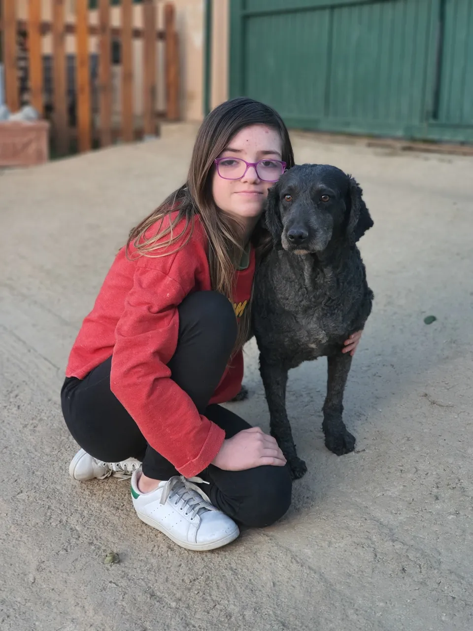 foto+sombra-960w Perro de agua español