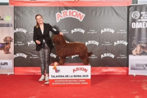 Talavera 46 Expo Nacional